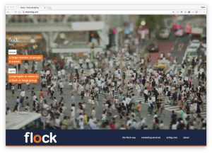 Flock marketing website by Lobstervine Web Design