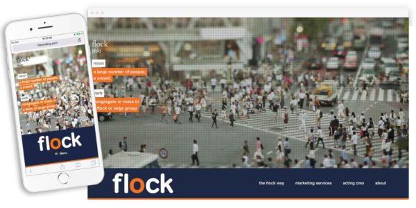 flock marketing website by lobstervine web design