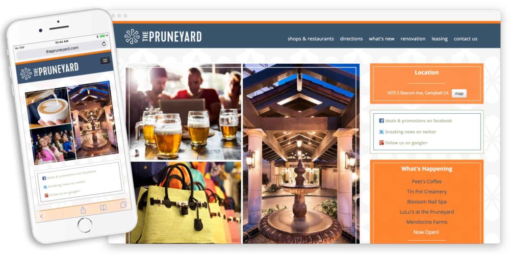 The Pruneyard Lobstervine