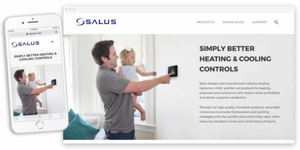 Salus Inc website by lobstervine