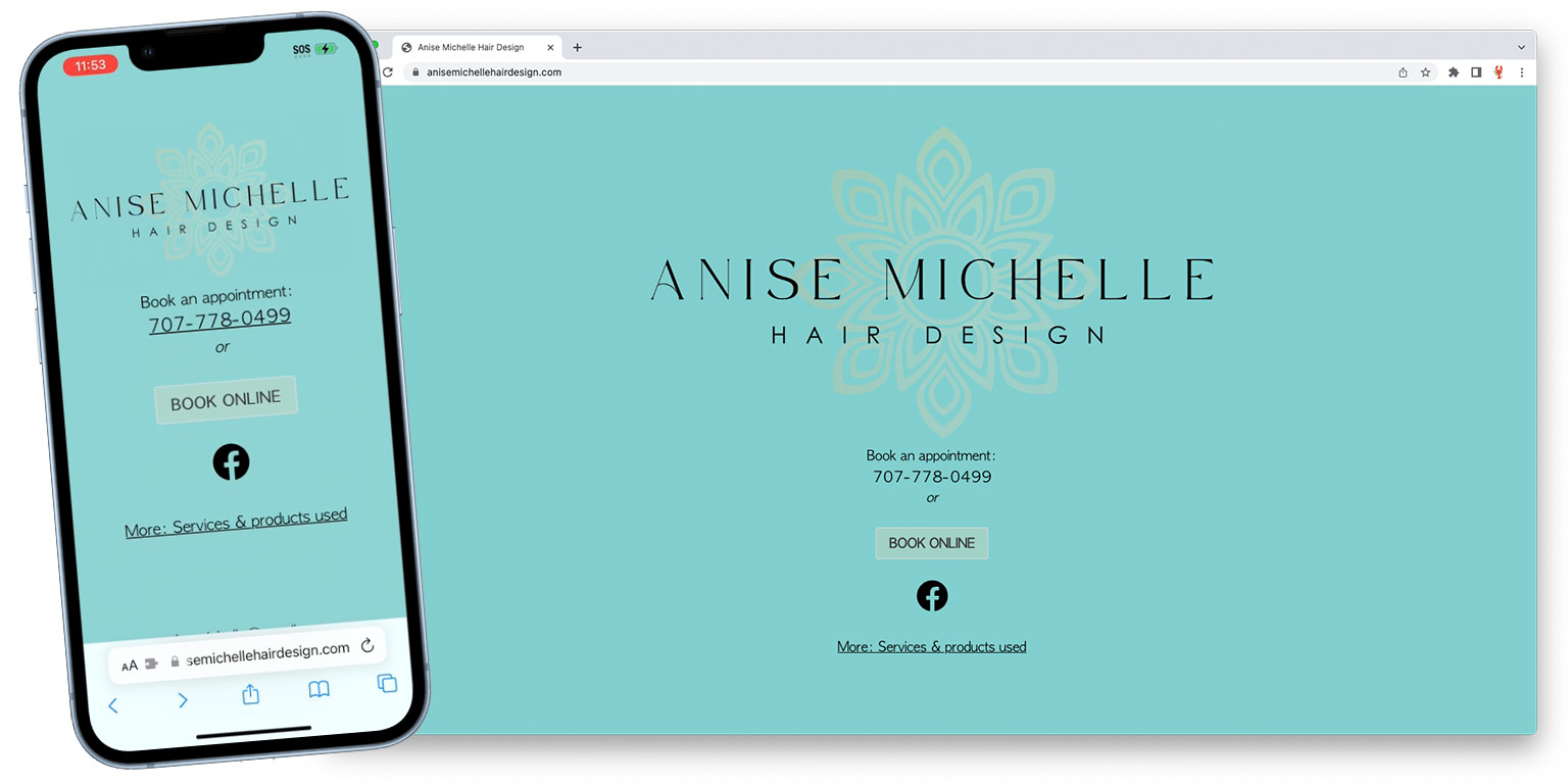 Anise Michelle Hair Design website designed and developed by Lobstervine