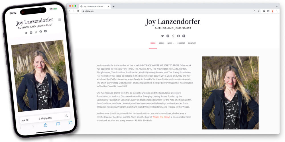 joy lanzendorfer website by lobstervine